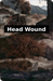 Head Wound reverse side