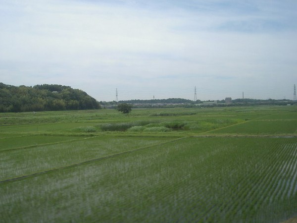 Subject image