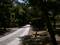 Neighbour image