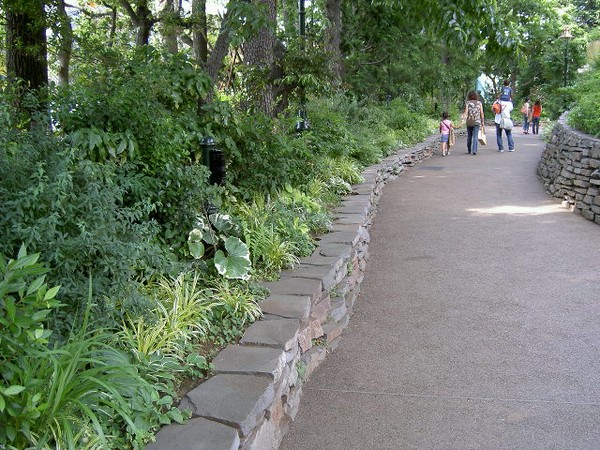 Subject image