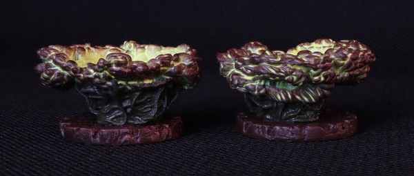 The complete set of individual models of this type.