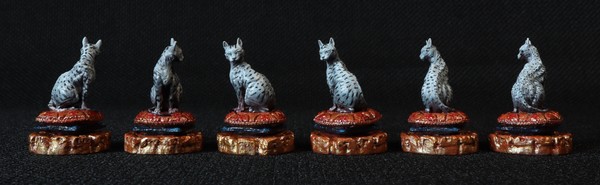 The complete set of individual models of this type.