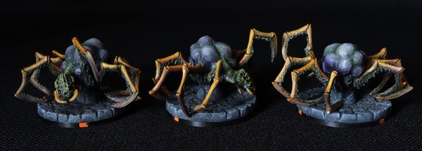 The complete set of individual models of this type.