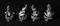 Neighbour image