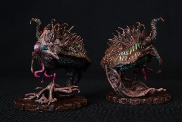 The complete set of individual models of this type.