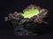 Neighbour image