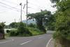 Grönska fram till gatan på Sakurajima