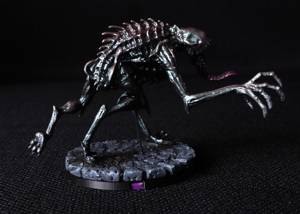 The only model of this type.