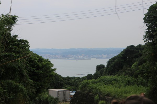 Utsikt över Kagoshima från skogen på Sakurajima.