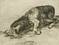 Neighbour image