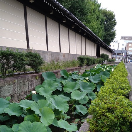 Södra vallgraven i Nakaichō, strax öster om Dōhō Kaikan.