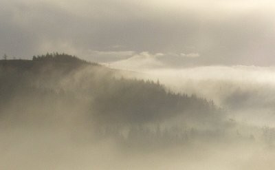 Dimhöljda berg i Wicklow.